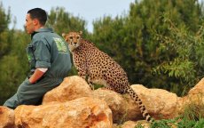 TripAdvisor-certificaat voor dierentuin Rabat