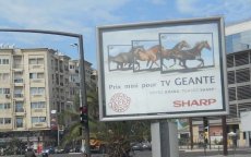 Fez wil van illegale reclameborden af