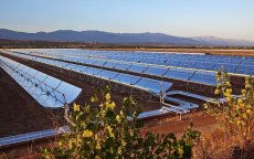 Eerste zonnecentrale Marokko opent in 2015