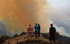 Nieuwe informatie over bosbranden in Algerije waarvan Marokko de schuld kreeg
