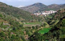 Machtige man in Tetouan kaapt bos en verkoopt het grond