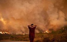 Bosbranden blijven Chefchaouen teisteren, al 725 hectare verwoest