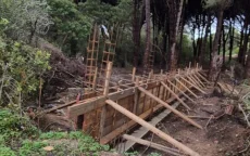 Bouwwerkzaamheden in beschermd bos Tanger zorgen voor onrust 