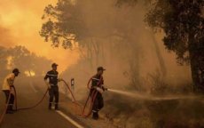 Bosbranden Marokko: cel om slachtoffers te helpen