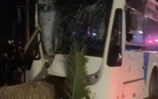 Bus rijdt tegen palmboom in Agadir, 59 gewonden