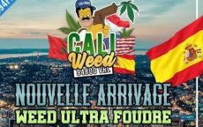Caliweed-leider laat vanuit Marokko bankier aftuigen