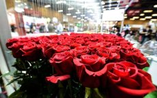 Colombia gaat rozen uitvoeren naar Marokko