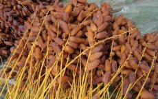 Marrakech: tonnen 'gevaarlijke' dadels in beslag genomen