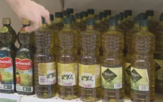 Marokko: drastische daling prijs olijfolie? 