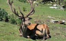 Plannen voor nieuwe dierentuin en recreatiepark in Agadir
