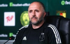 Djamel Belmadi: "Walid Regragui is een voorbeeld"