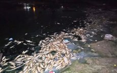 Zeldzaam fenomeen op strand Chefchaouen 