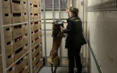 Hond detecteert 300 kilo Marokkaanse hasj in haven Motril