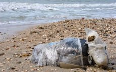Drugsbalen aangespoeld op strand Sidi Rahal