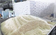 Ecuador wil rijstoverschot in Marokko dumpen 