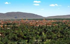 Algerije: oplossing voor Marokkaanse landbouwers mogelijk?