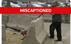 WK-leugen gaat viraal: schokkende foto hondenbloedbad in Marokko is nep 