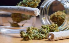Ooit organiseerde Frankrijk nog de cannabishandel in Marokko