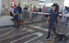 Grensbeveiliging: Frontex klaar voor "onmiddellijke actie" in Sebta