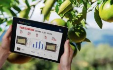 Israëlische bedrijf Fruitspec komt naar Marokko
