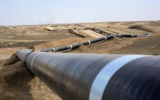 Sound Energy blaast gaspijpleiding Maghreb-Europa nieuw leven in