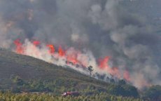 Celstraffen voor bosbranden in Al Hoceima