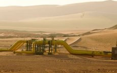 Algerije lijdt flink verlies door sluiting Maghreb-Europa gaspijpleiding 