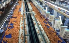 Agrovoedingssector: Gopag opent fabrieken in Marokko
