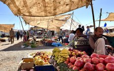 Groenten plots veel goedkoper in Marokko
