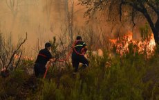 Bosbrand woedt in natuurpark bij Chefchaouen