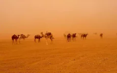 Nieuwe week met extreme temperaturen in Marokko (46 graden)