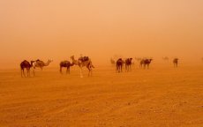 Hittewaarschuwing in Marokko (+45 graden)