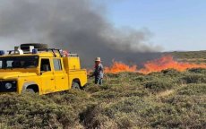 Twee arrestaties na bosbrand Ifrane