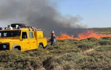 Twee arrestaties na bosbrand Ifrane