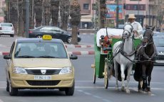 Marrakchi boos op taxichauffeurs