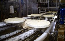 Nador opent mega-kaasfabriek, 1000 banen