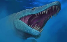 Prehistorisch superroofdier ontdekt in Marokko