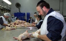Marokko richt zich op de koosjere markt