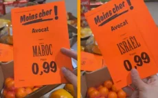 Lidl verkoopt Israëlische avocado's als Marokkaans