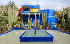 Majorelletuin in Marrakesh op één na meest gefotografeerde tuin ter wereld