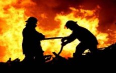 Ruim 450 hectare bos verwoest door brand in Marokko