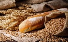 Tarwe Marokko: al 3 miljard dirham aan subsidies in 2022