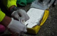 Mega drugsvangst in Nederland: 3300 kg coke, Marokkaan gearresteerd
