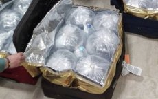 Spanje: Marokkaan moet 7,2 miljoen euro betalen voor palingsmokkel