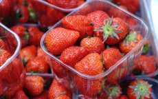 Marokkaanse aardbeien populairder dan ooit in Japan