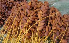 Marokkaanse handelaren boycotten Algerijnse dadels