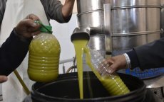 Marokkaan betaalt zich blauw aan olijfolie