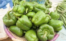 Giftige paprika's uit Marokko teruggeroepen in Duitsland