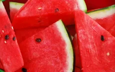 Spanje richt zich op pesticiden in strijd tegen invasie Marokkaanse watermeloenen