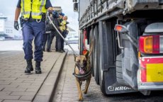 Nederland: Marokkaanse migranten aangetroffen in Hoek van Holland